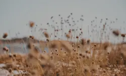 Vårt hållbarhetsarbete